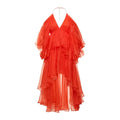 Silk Organza Dress